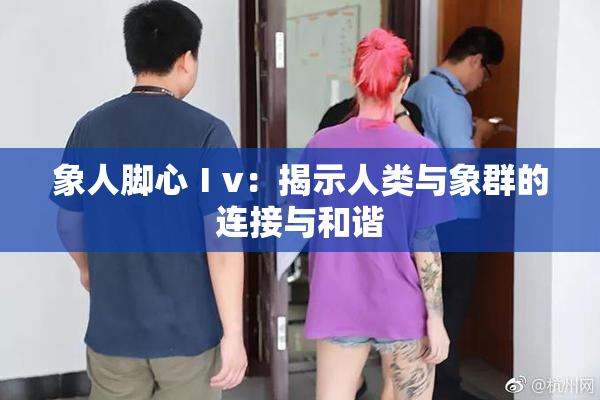 象人脚心Ⅰv：揭示人类与象群的连接与和谐