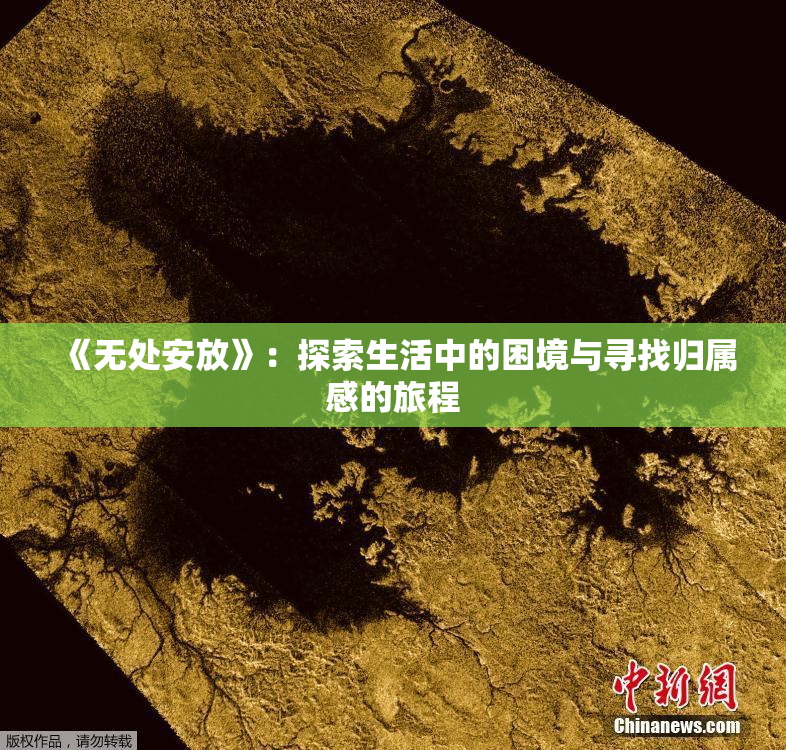 《无处安放》：探索生活中的困境与寻找归属感的旅程