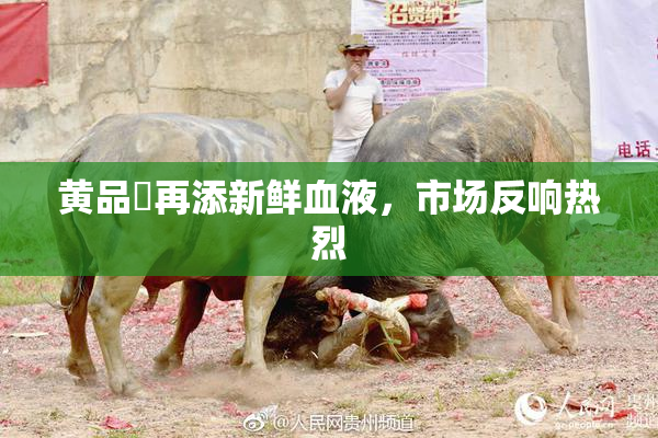 黄品匯再添新鲜血液，市场反响热烈