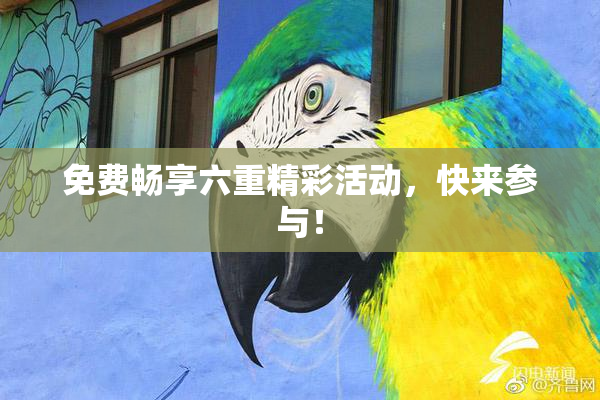 免费畅享六重精彩活动，快来参与！
