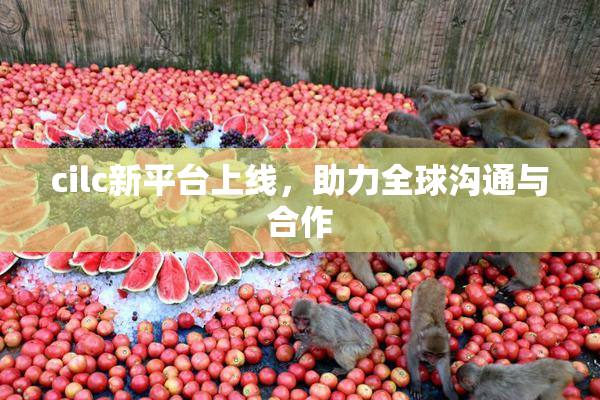 cilc新平台上线，助力全球沟通与合作