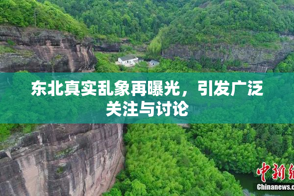 东北真实乱象再曝光，引发广泛关注与讨论