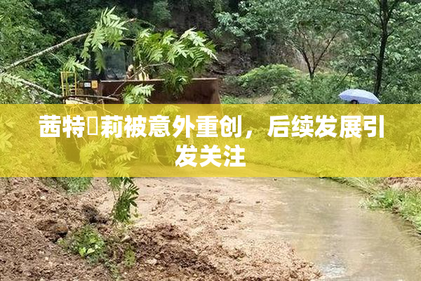 茜特菈莉被意外重创，后续发展引发关注