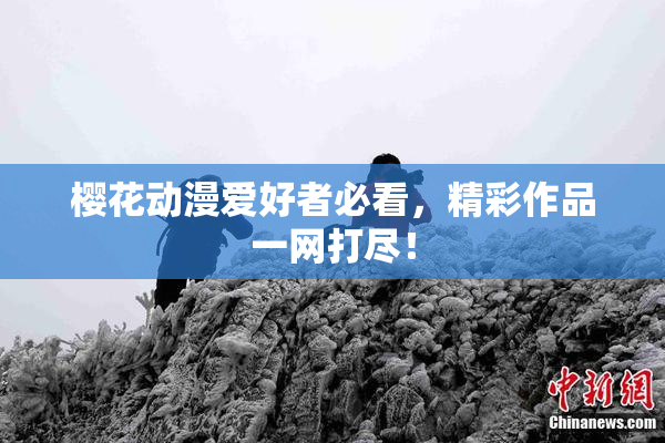 樱花动漫爱好者必看，精彩作品一网打尽！