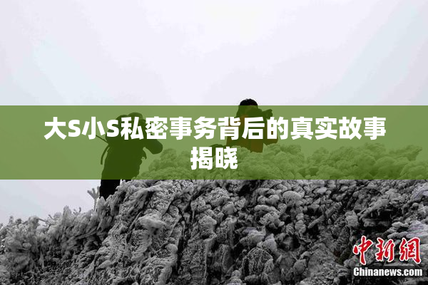 大S小S私密事务背后的真实故事揭晓