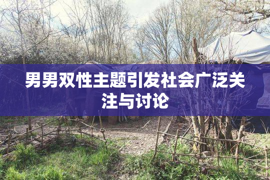 男男双性主题引发社会广泛关注与讨论