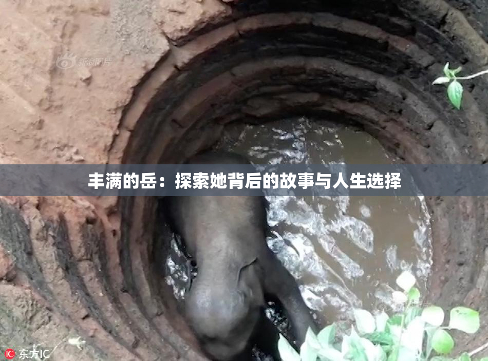 丰满的岳：探索她背后的故事与人生选择