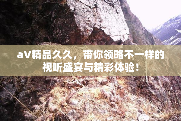 aV精品久久，带你领略不一样的视听盛宴与精彩体验！