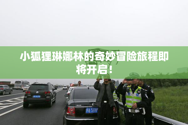 小狐狸琳娜林的奇妙冒险旅程即将开启！