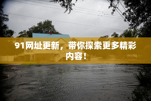 91网址更新，带你探索更多精彩内容！