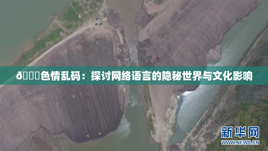 🔞色情乱码：探讨网络语言的隐秘世界与文化影响