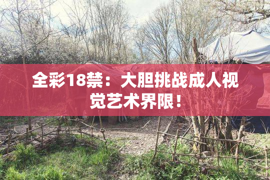 全彩18禁：大胆挑战成人视觉艺术界限！