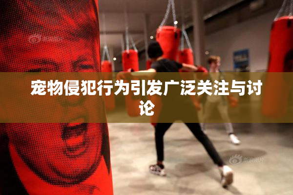 宠物侵犯行为引发广泛关注与讨论