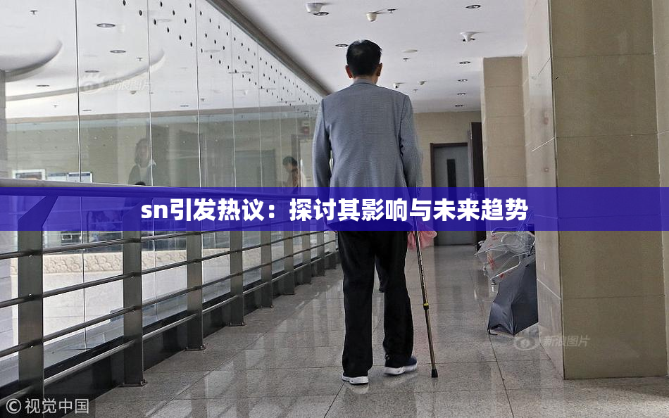 sn引发热议：探讨其影响与未来趋势