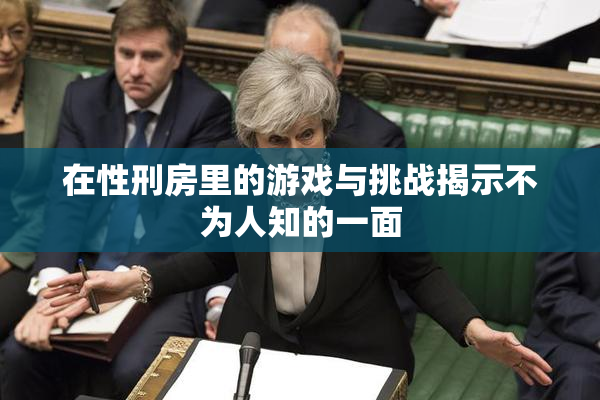 在性刑房里的游戏与挑战揭示不为人知的一面