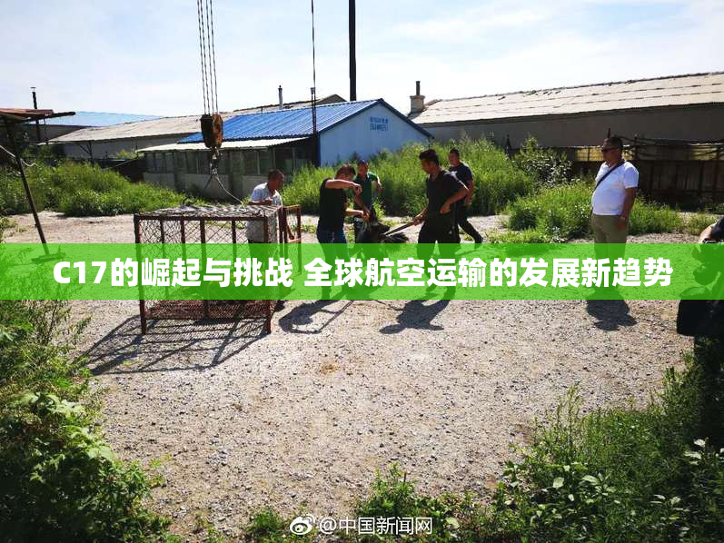 C17的崛起与挑战 全球航空运输的发展新趋势