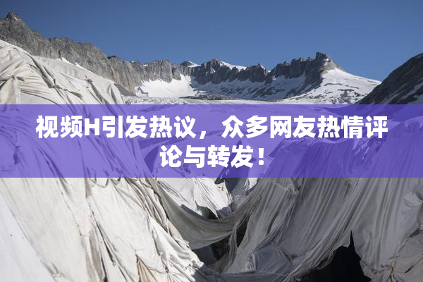 视频H引发热议，众多网友热情评论与转发！