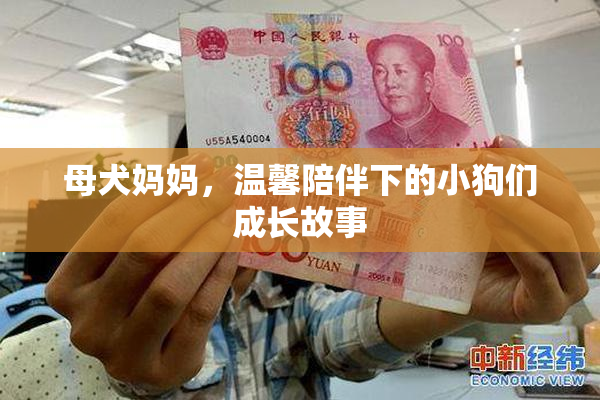 母犬妈妈，温馨陪伴下的小狗们成长故事