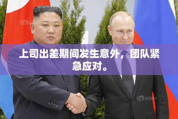 上司出差期间发生意外，团队紧急应对。