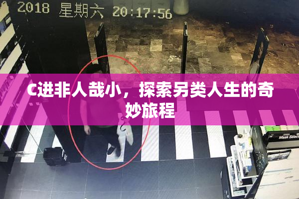 C进非人哉小，探索另类人生的奇妙旅程