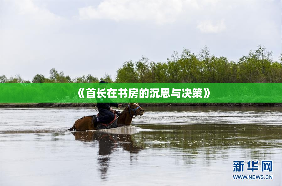 《首长在书房的沉思与决策》