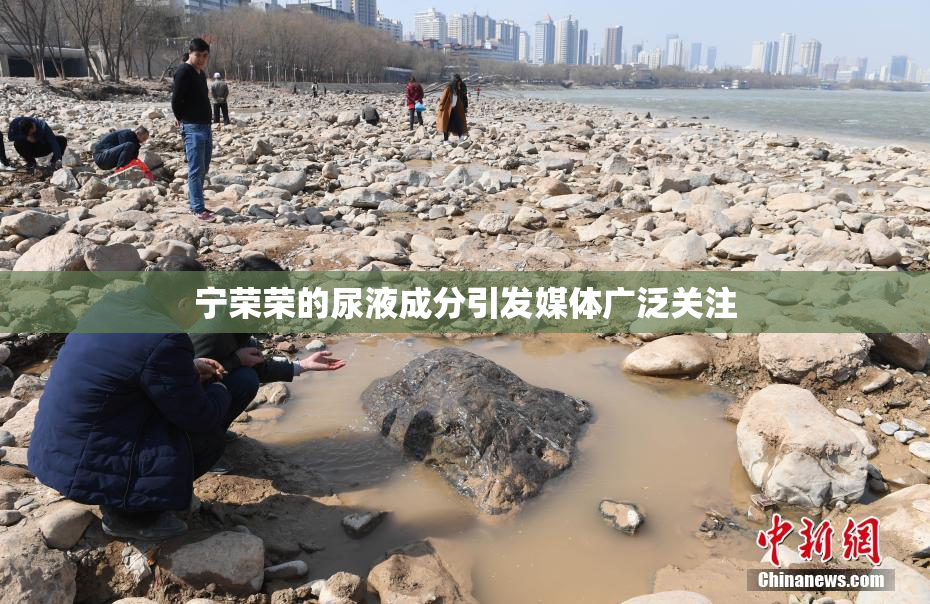 宁荣荣的尿液成分引发媒体广泛关注