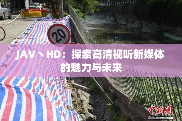 JAV丶HD：探索高清视听新媒体的魅力与未来