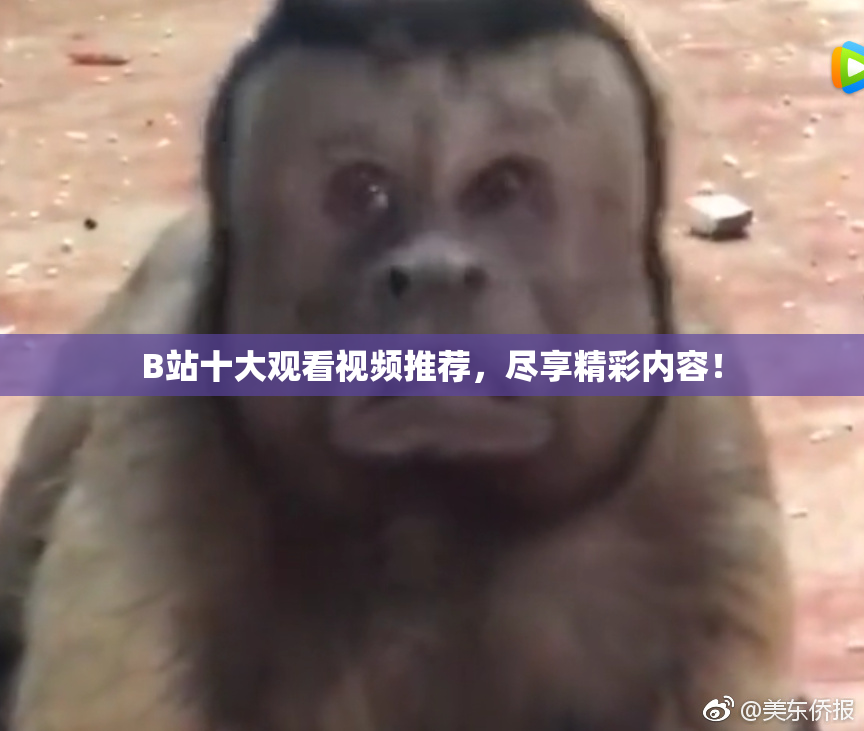B站十大观看视频推荐，尽享精彩内容！
