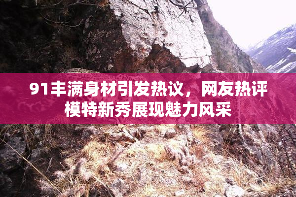 91丰满身材引发热议，网友热评模特新秀展现魅力风采