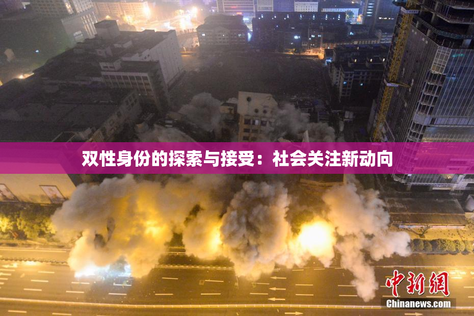 双性身份的探索与接受：社会关注新动向