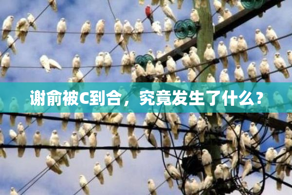 谢俞被C到合，究竟发生了什么？