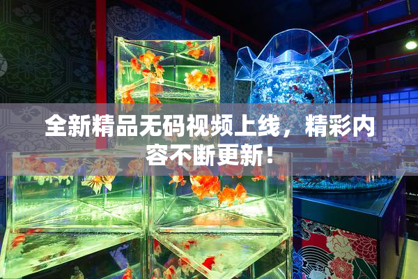 全新精品无码视频上线，精彩内容不断更新！