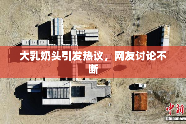 大乳奶头引发热议，网友讨论不断