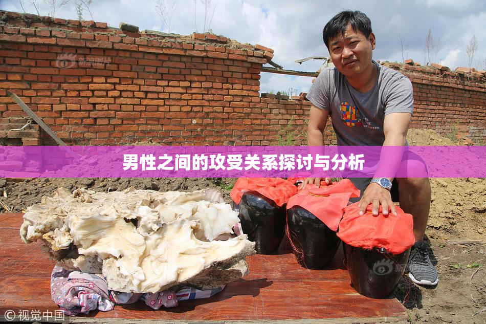 男性之间的攻受关系探讨与分析