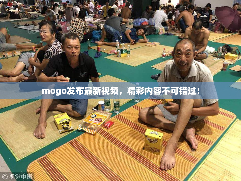 mogo发布最新视频，精彩内容不可错过！