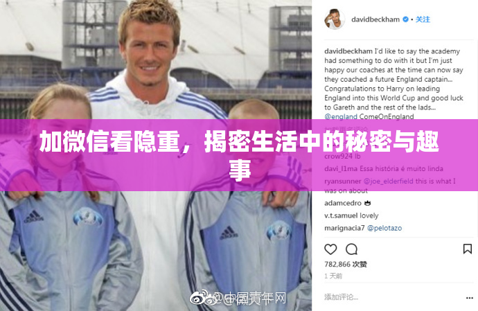 加微信看隐重，揭密生活中的秘密与趣事