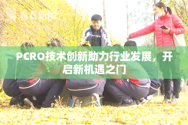 PCRO技术创新助力行业发展，开启新机遇之门