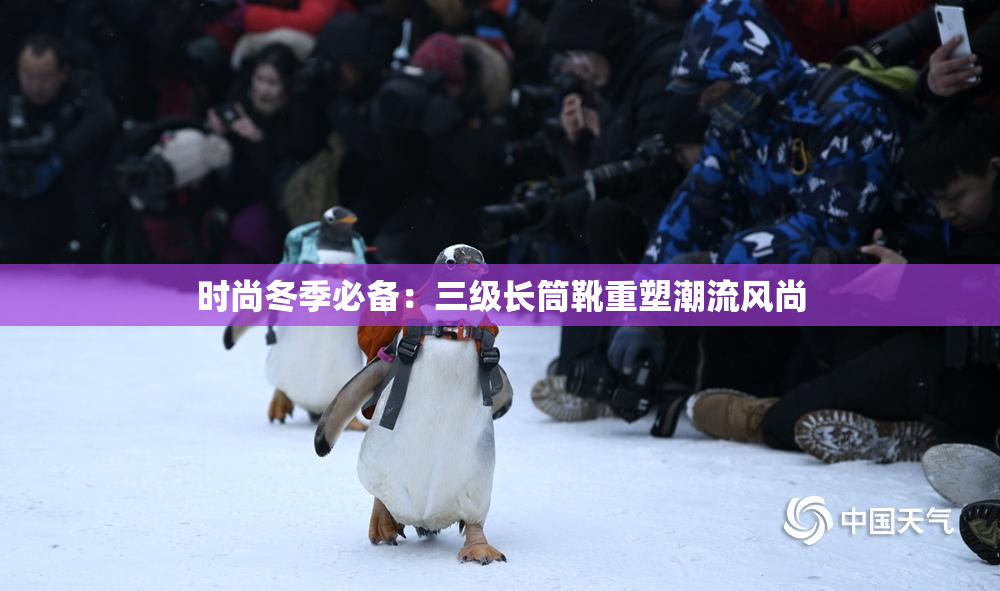 时尚冬季必备：三级长筒靴重塑潮流风尚