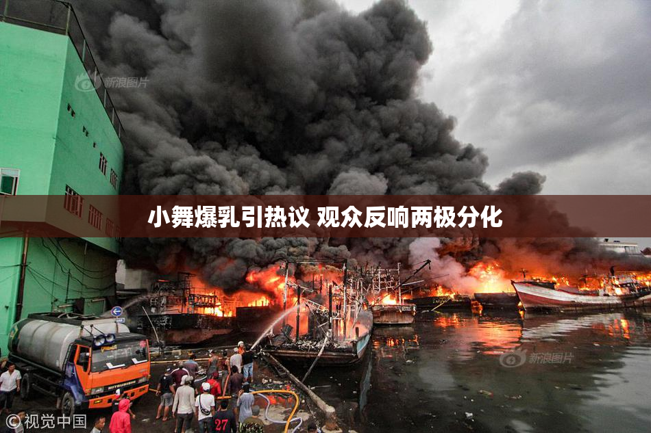 小舞爆乳引热议 观众反响两极分化