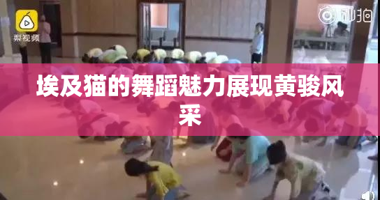 埃及猫的舞蹈魅力展现黄骏风采