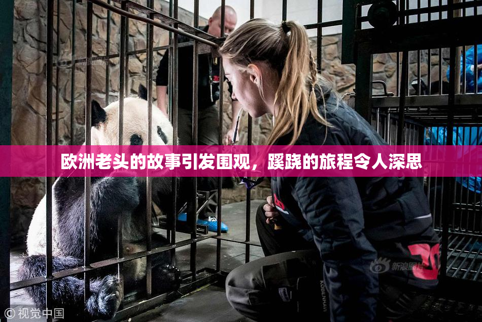 欧洲老头的故事引发围观，蹊跷的旅程令人深思