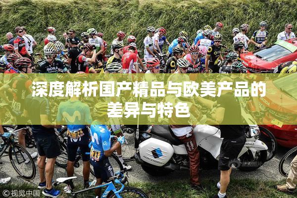 深度解析国产精品与欧美产品的差异与特色