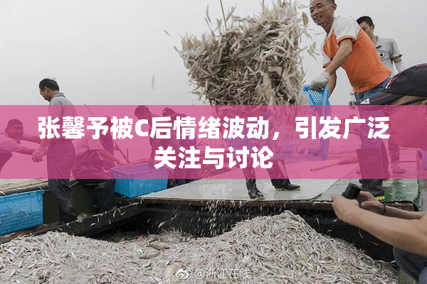 张馨予被C后情绪波动，引发广泛关注与讨论