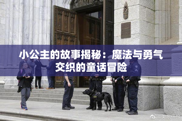 小公主的故事揭秘：魔法与勇气交织的童话冒险
