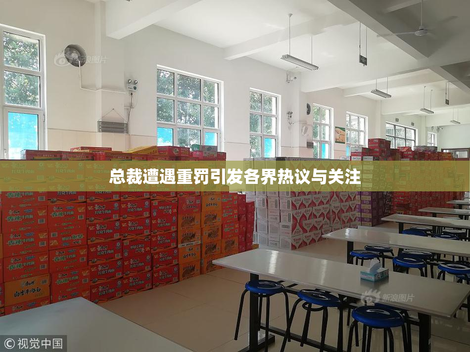 总裁遭遇重罚引发各界热议与关注