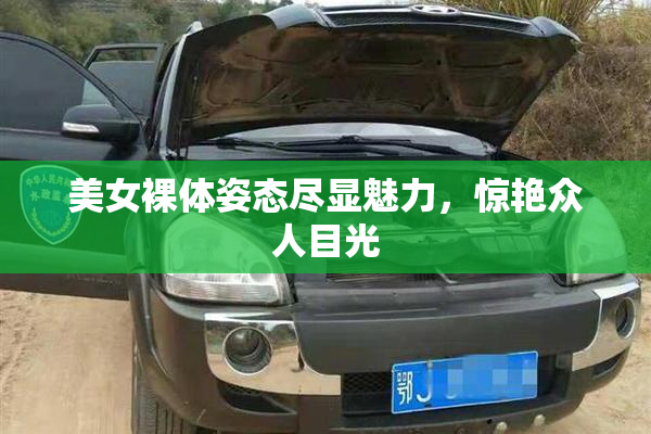 美女裸体姿态尽显魅力，惊艳众人目光