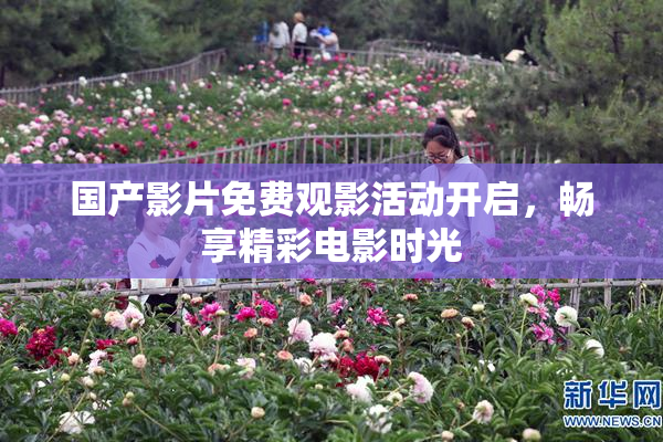 国产影片免费观影活动开启，畅享精彩电影时光