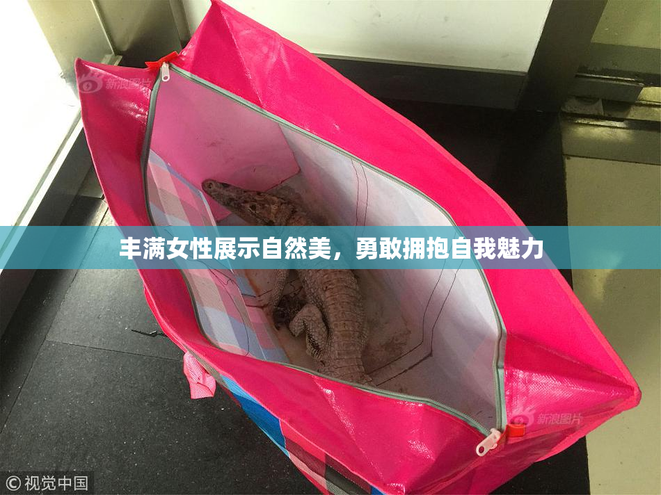 丰满女性展示自然美，勇敢拥抱自我魅力