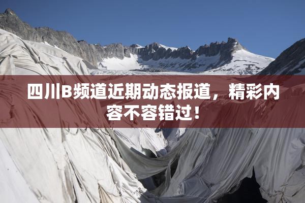 四川B频道近期动态报道，精彩内容不容错过！