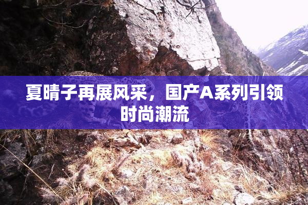 夏晴子再展风采，国产A系列引领时尚潮流